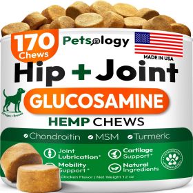 Hemp Hip Joint Supplement for Dogs Glucosamine 170 Mobility Support Chews Advanced Joint Pain Relief Treats with Chondroitin MSM Turmeric Large &